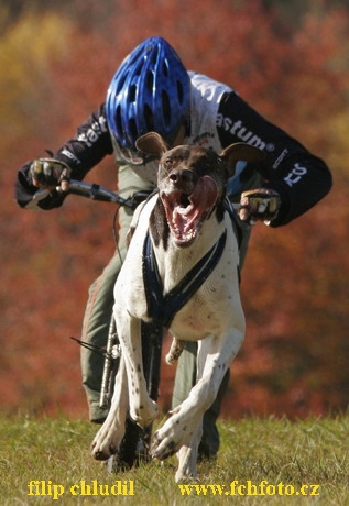 Tri studne MR 06 - 138.JPG